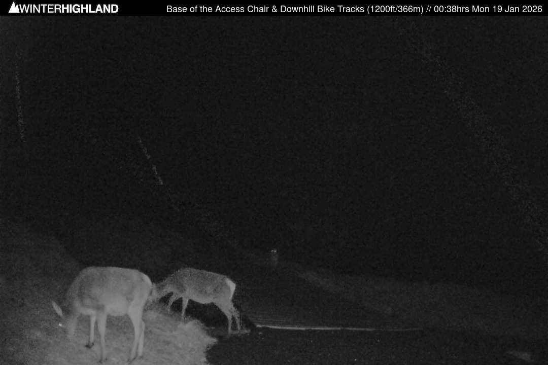 Web Cam Currently Unavailable