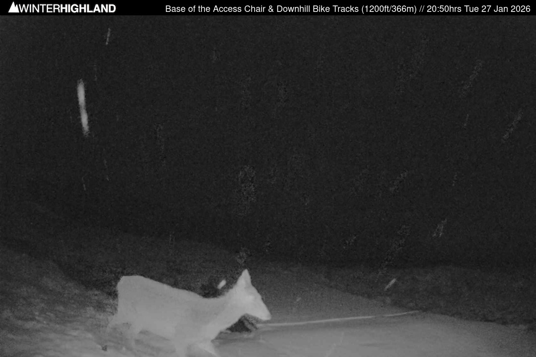 Web Cam Currently Unavailable