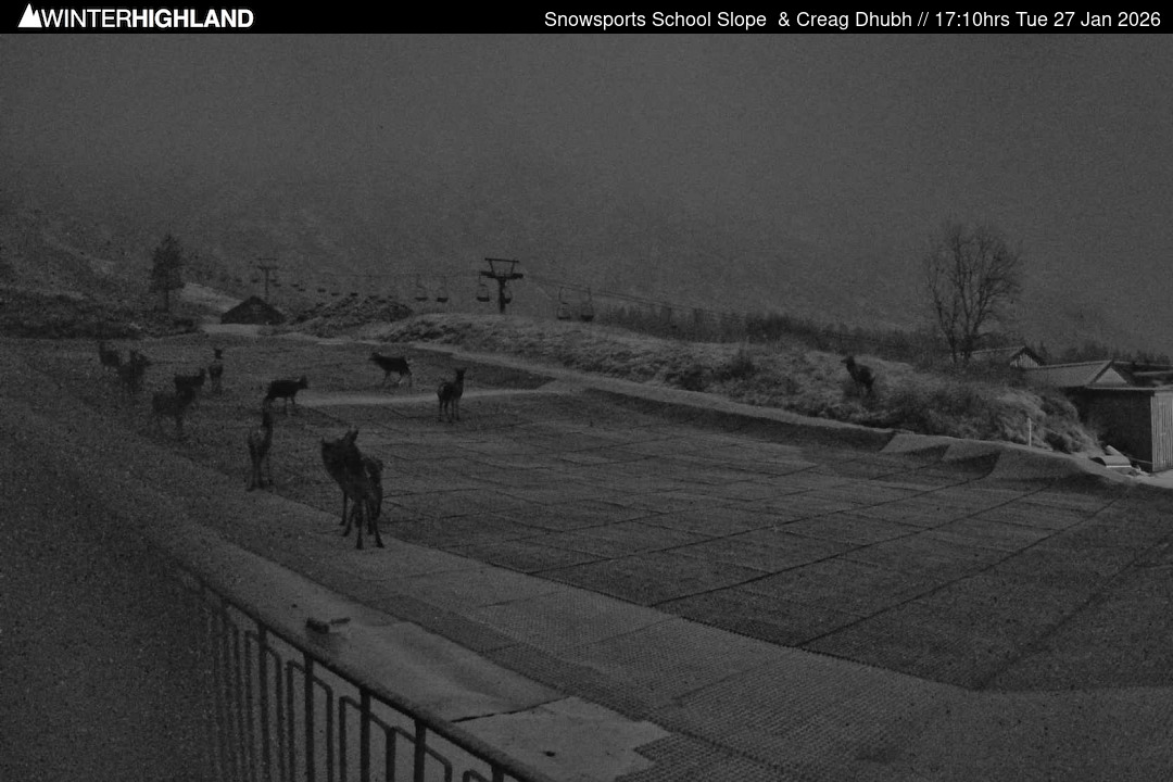 Web Cam Currently Unavailable