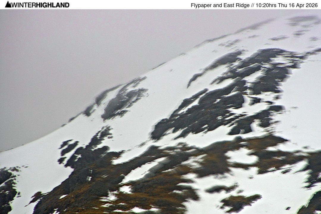 Web Cam Currently Unavailable