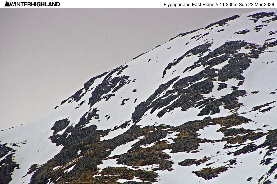 Web Cam Currently Unavailable