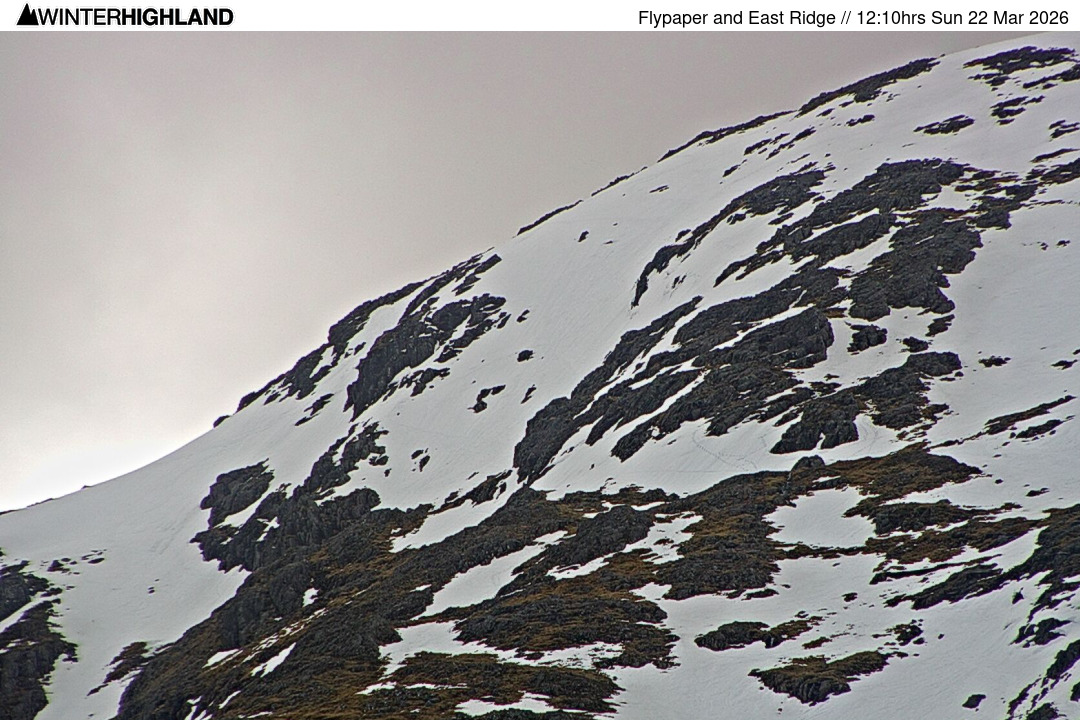 Web Cam Currently Unavailable