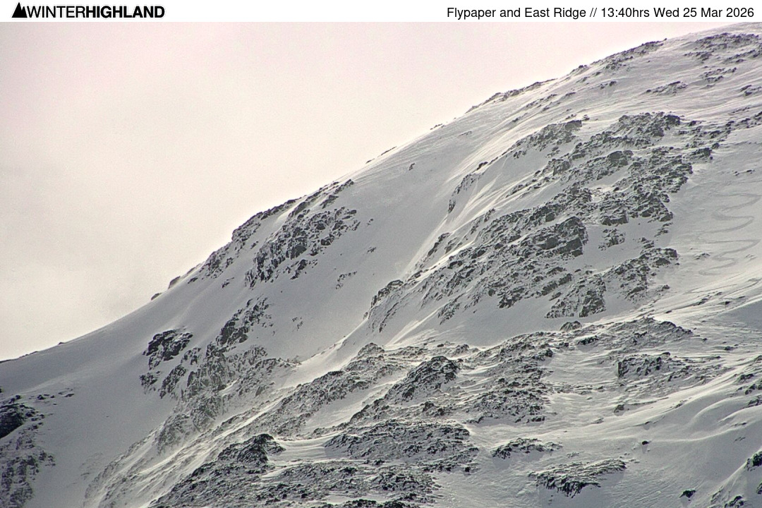 Web Cam Currently Unavailable