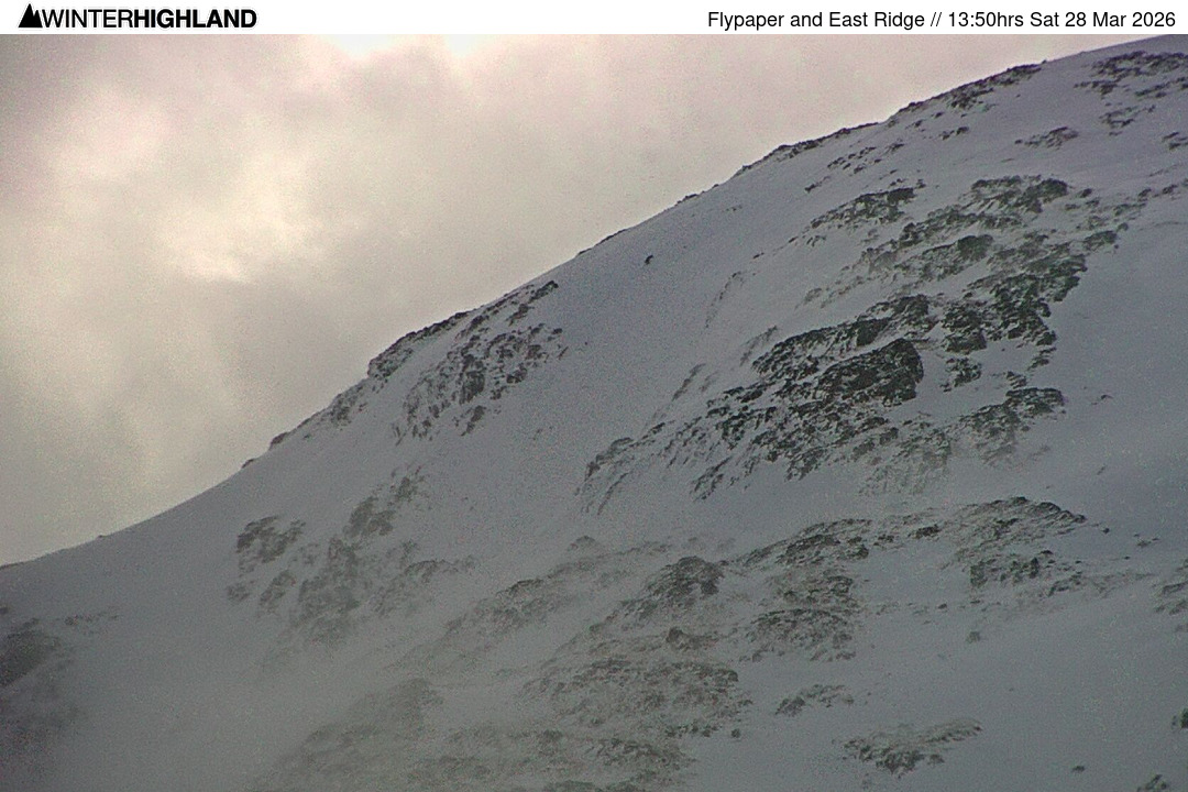 Web Cam Currently Unavailable