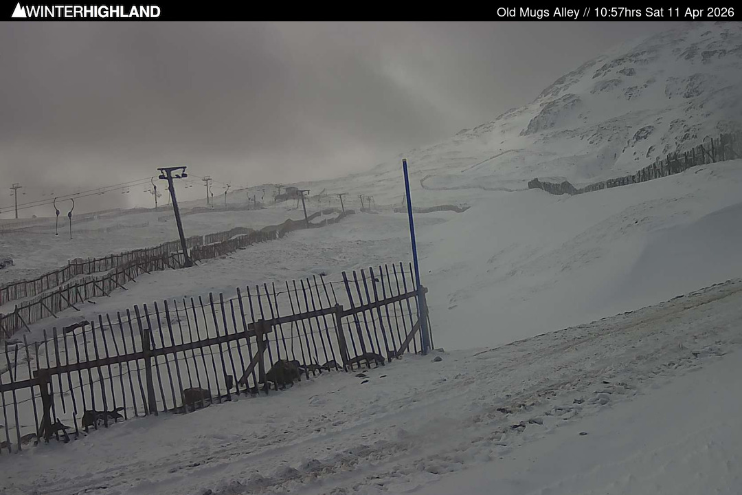 Web Cam Currently Unavailable