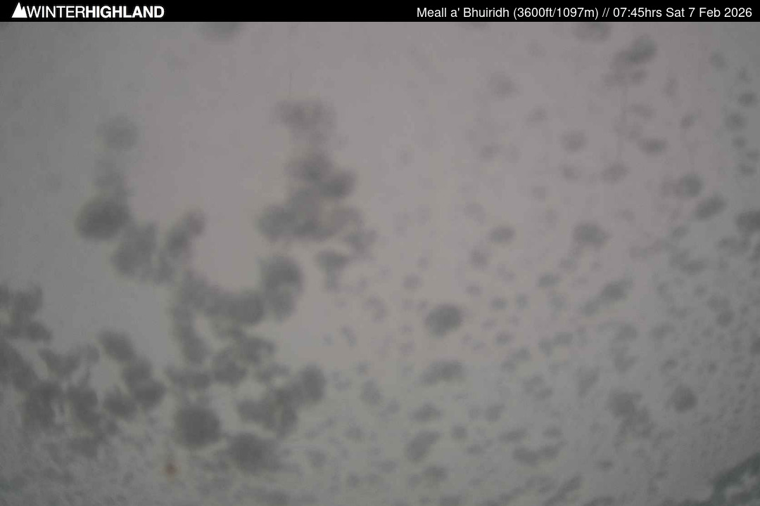 Web Cam Currently Unavailable