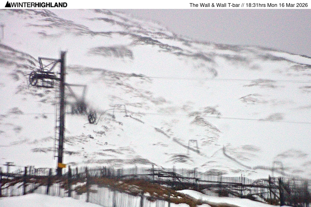 Web Cam Currently Unavailable